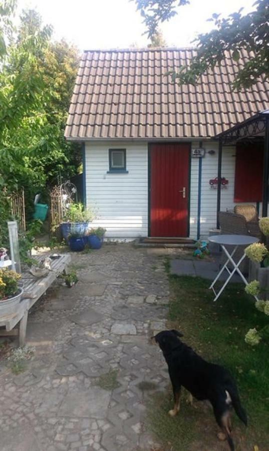 Das Kleine Ferienhaus Berlin Exteriör bild