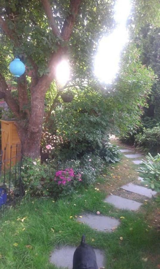 Das Kleine Ferienhaus Berlin Exteriör bild
